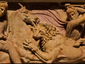 Liderazgo: De la jerarquía a la redarquía empresarial