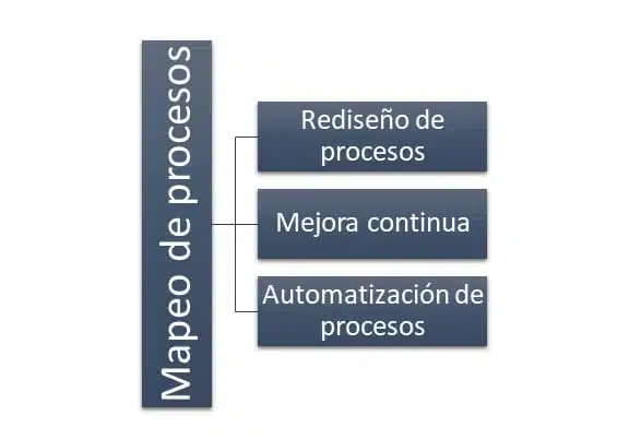 Principales funciones del mapeo de procesos