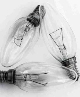 Reflexiones sobre Propiedad Intelectual en México