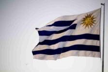 Teoría de los Recursos Administrativos en Uruguay