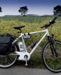 La Movilidad Verde: Una gran oportunidad de negocio para México