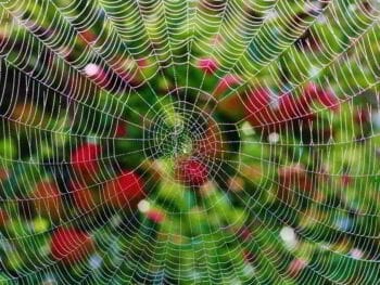 Atrapados en las redes sociales Atrapados en las redes sociales