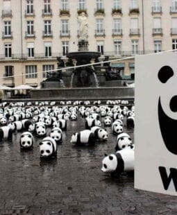 Social Marketing como estrategia para ser una empresa sostenible y apostar por un mundo mejor