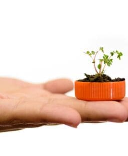 Conceptos de economía verde, contabilidad verde y finanzas verdes