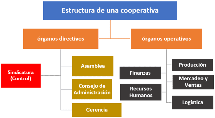 Estructura de una cooperativa, órganos directivos y órganos funcionales