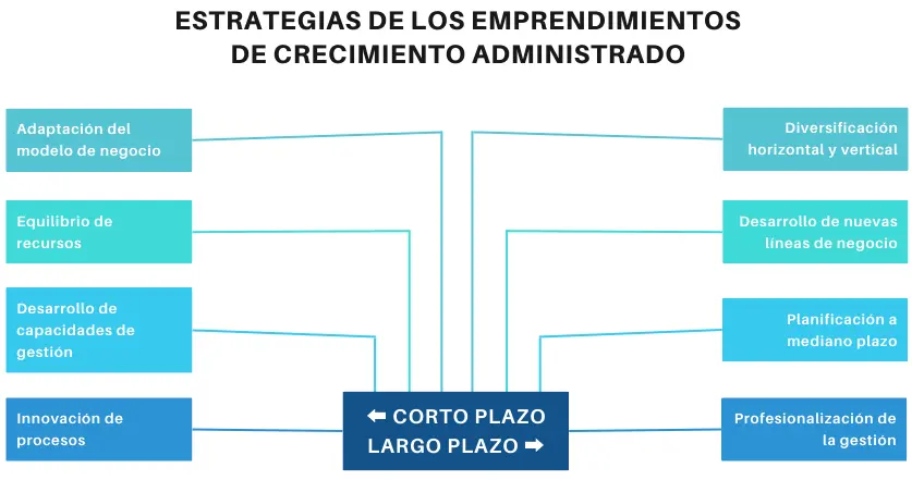 Estrategias de los emprendimientos de crecimiento administrado Estrategias de los emprendimientos de crecimiento administrado