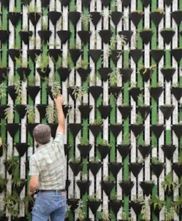Emprendimiento social: definición, tipos, importancia, características, desafíos y ejemplos