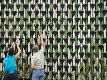 Emprendimiento social: definición, tipos, importancia, características, desafíos y ejemplos