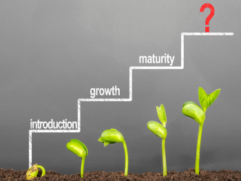 El Ciclo Económico: Fases y Efectos en la Sociedad El Ciclo Económico: Fases y Efectos en la Sociedad
