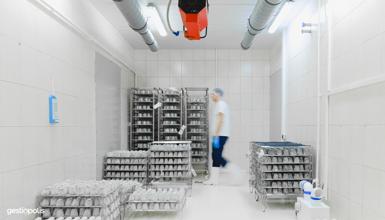 Optimización de la cadena de frío en la industria alimentaria: claves para reducir mermas operativas