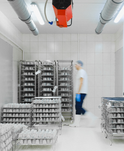 Optimización de la cadena de frío en la industria alimentaria: claves para reducir mermas operativas