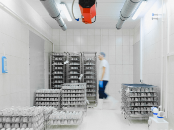Optimización de la cadena de frío en la industria alimentaria: claves para reducir mermas operativas