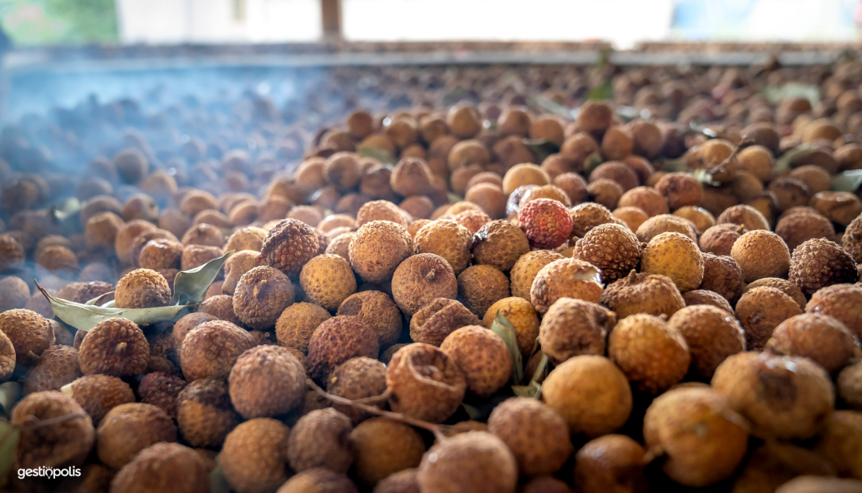 Pérdidas postcosecha en la cadena agroalimentaria y estrategias de prevención